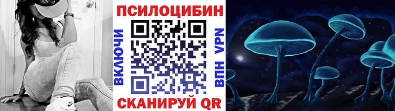 Псилоцибиновые грибы Psilocybe  shop клад  Оханск 